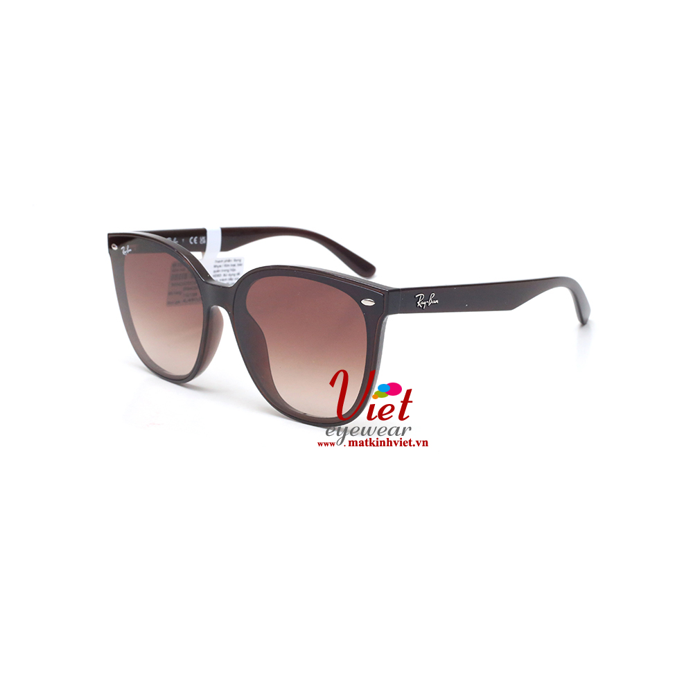 Kính mát RayBan RB4423D 714/13